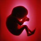ما الذي يجب ان تقوم به كل حامل لتجنب العيوب الخلقية للمولود
